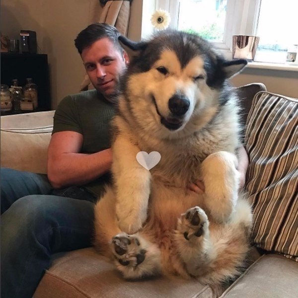  :   
