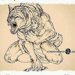 �����, ����������, 36 ���