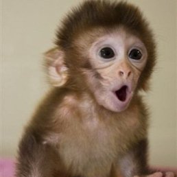 Clark Kent, ������, 38 ���