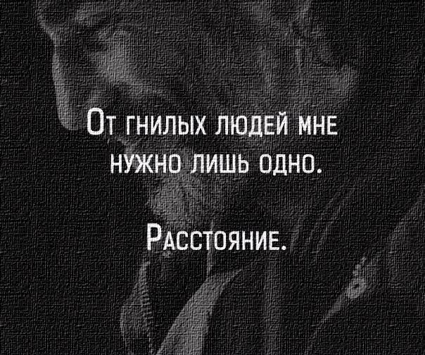   -  ,  -  - 8  2017  06:08