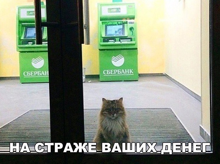   : 