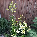 ���� ���, ������ - ��������� 19 �������� 2017 � ������ ���� ����������