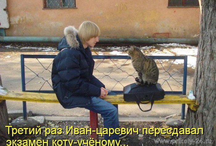   - 10  2017  18:03