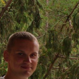 ������, ���������, 41 ���