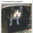 ���� ������, ������, 57 ��� - ��������� 24 ���� 2017 � ������ ������ ��������