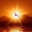 ���� �.�., ���� - ��������� 4 ������ 2017 � ������ ���� ����������