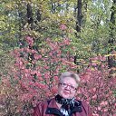 ���� ������, �������, 66 ��� - ��������� 19 ������� 2017 � ������ ���� ����������