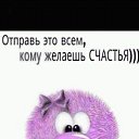 ���� ����, �����-���������, 56 ��� - ��������� 3 ������ 2017 � ������ ������ �����