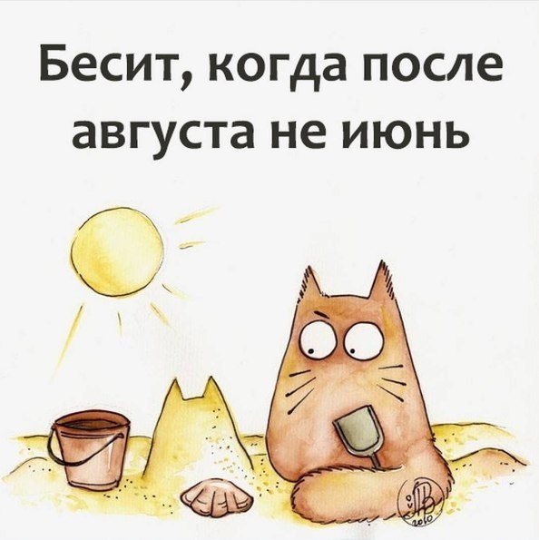  - 12  2017  20:02