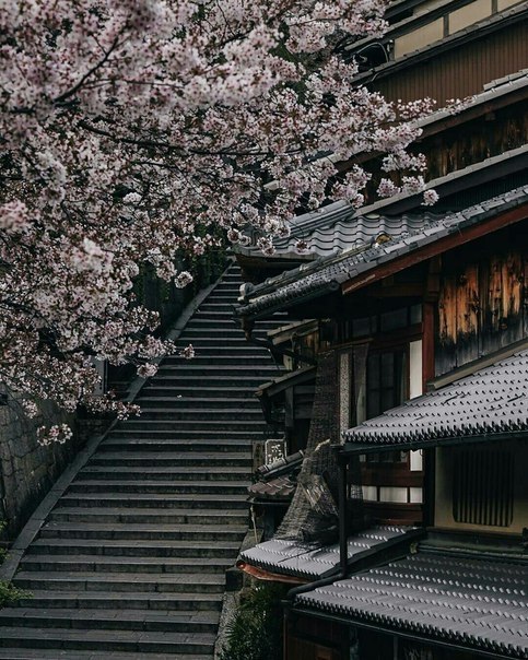 Kyoto, Japan