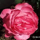 ���� Max Brodyaga, ������, 45 ��� - ��������� 29 ���� 2017 � ������ ���� ����������