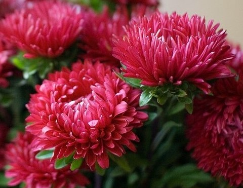 �� ��� � ������!!! �����, ������� ��� ������ �������. ����� ���� ������ ��� ����� �����, � ������� ...