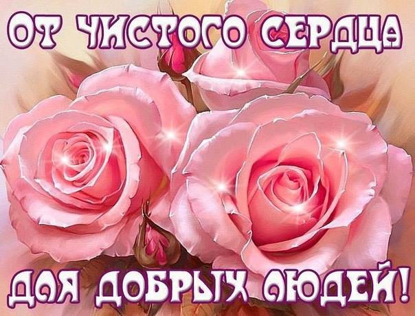 Есть у меня незримые друзья, Которых я не видела ни разу.... В них доброту почувствовала я, Читая их ...