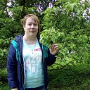 ���� ����, �����-���������, 48 ��� - ��������� 26 ���� 2017 � ������ ���� ����������