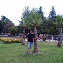  Zarko, , 60  -  7  2017    