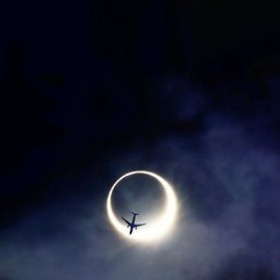 ���������, ������, 42 ����