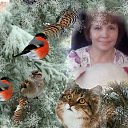 ���� ������, ��������, 63 ���� - ��������� 19 ���� 2017 � ������ ���� ����������