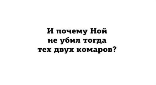 Ksenia - 29  2017  03:20