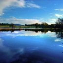  Renata, , 49  -  29  2017    