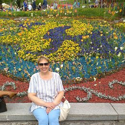 , 67, 