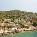  , -, 42  -  8  2017   , 2017 ()