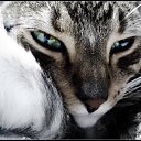 ���� ���, �����-���������, 58 ��� - ��������� 1 ������� 2017