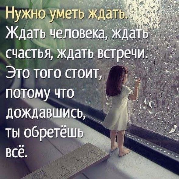 , ,  - 13  2017  04:03