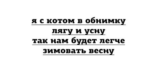  - 29  2017  00:55