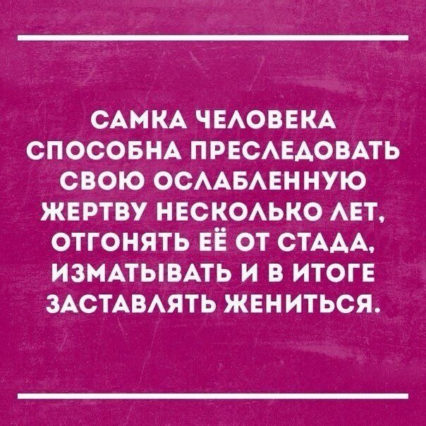  - 6  2017  17:18