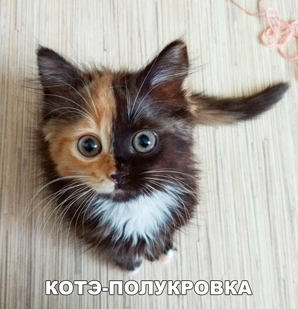    :D - 19  2017  22:35