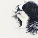 ���� ���������, �������, 56 ��� - ��������� 14 ������� 2017 � ������ ���� ����������