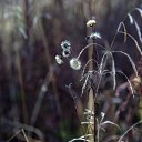 ���� ��������, ������������, 62 ���� - ��������� 4 ������ 2017 � ������ ������ ��������