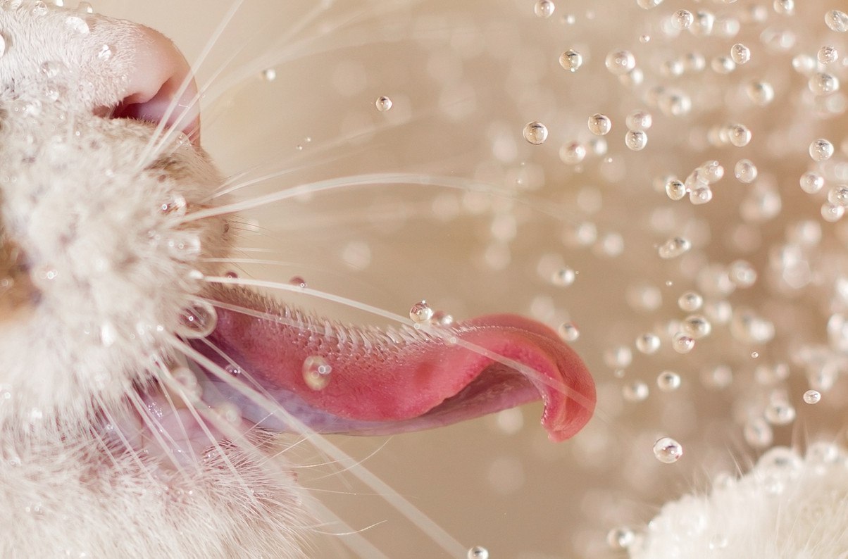 ����� - 15 ������ 2017 � 15:10