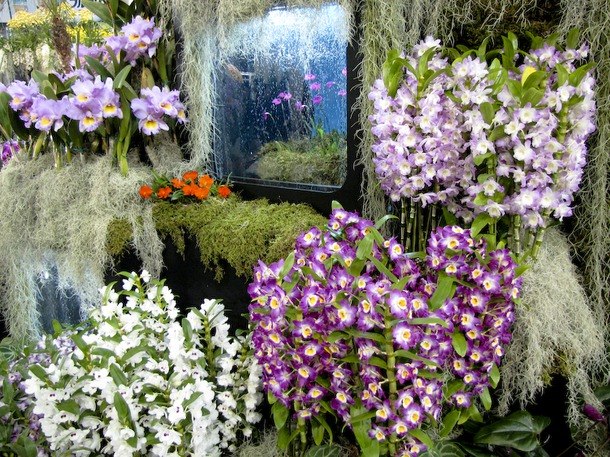 The National Orchid Garden (   )    1859 .   ... - 4