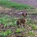 ���� �������, ��������� - ��������� 1 �������� 2017 � ������ ���� ����������