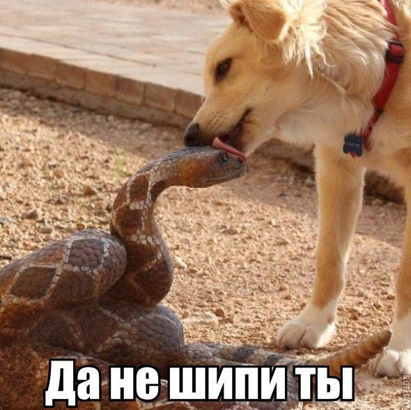 Капельки радости! - 7 мая 2017 в 13:30