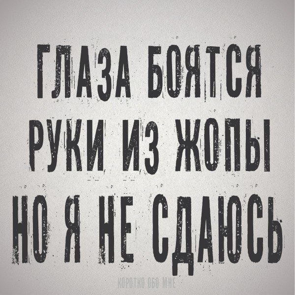  - 12  2017  15:31
