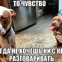 ���� �����, ������ - ��������� 23 ���� 2017 � ������ ������ ��������