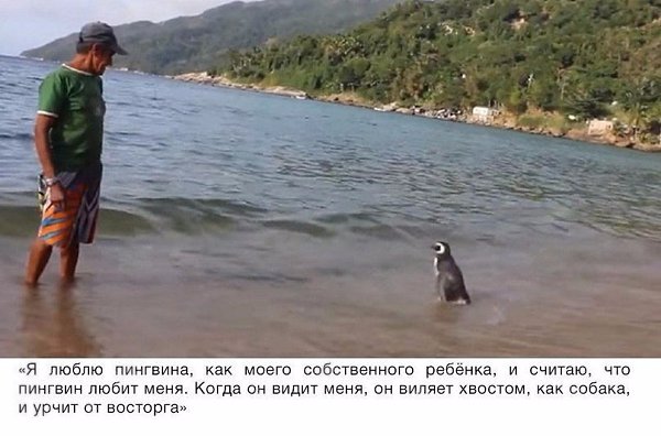   8,000   ,   ,    . - 2