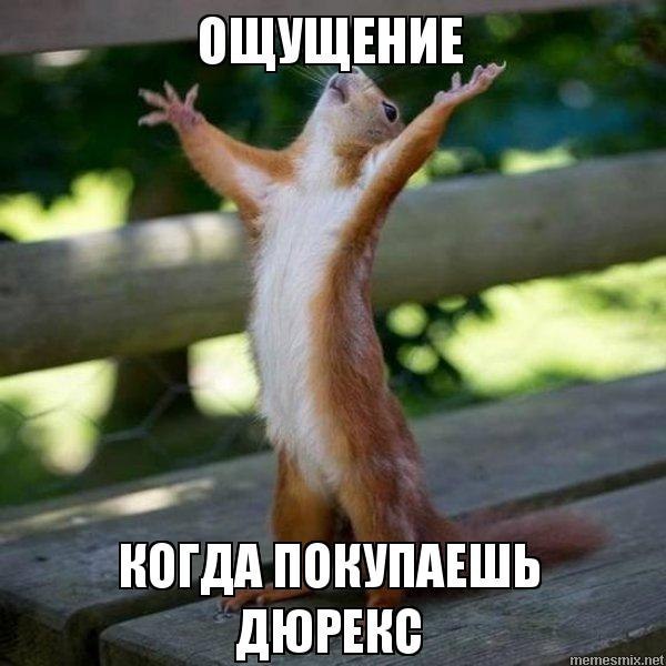 ������ - 11 ������ 2017 � 19:15
