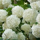 9.06.2017 �� ������� �� ��� - ��������!!!)))�