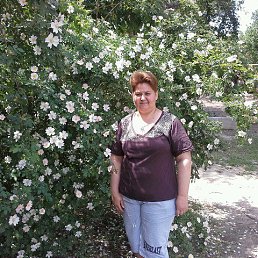 ������, �����, 54 ����