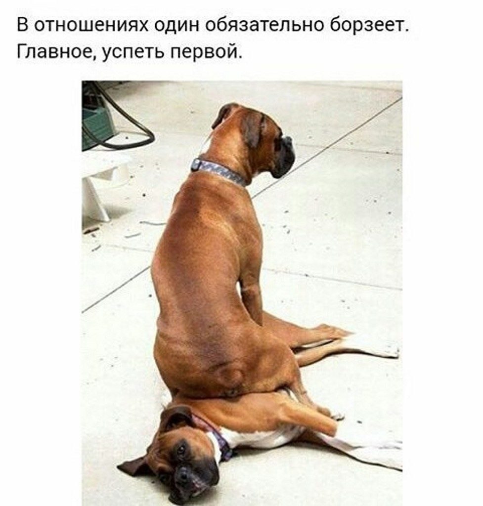 )))