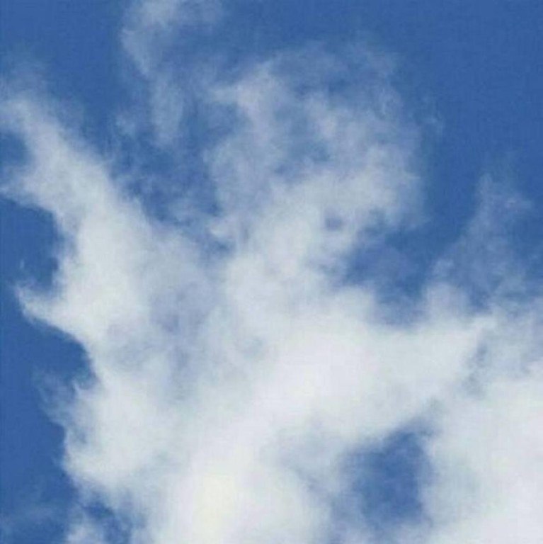    ,    ! - 5