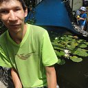 ���� ���� ������, ����, 40 ��� - ��������� 19 ������� 2017 � ������ ���� ����������