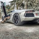 ���� No Name, ��������� - ��������� 6 ������� 2017 � ������ ������ ��������