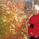 ���� ���������, ����������� - ��������� 15 ������� 2017 � ������ ���� ����������