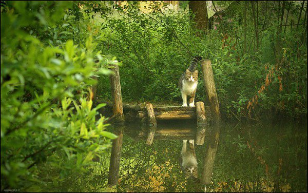 �������� �������! - 29 �������� 2017 � 15:34