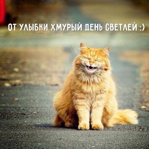 Любите друг друга, Прощайте друг друга. А все остальное суета, без которой можно прожить... - 4