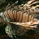 ���� �, ����, 47 ��� - ��������� 2 ������� 2017 � ������ ������ ��������